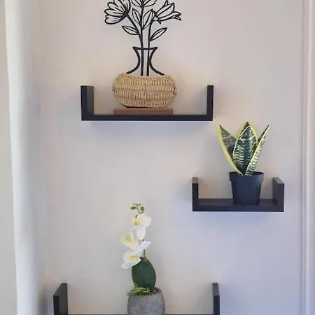 Apartament C Center